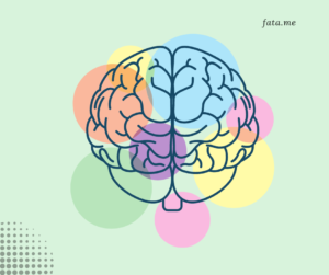 image shows a brain a different sections that are highlighted in colorful circles